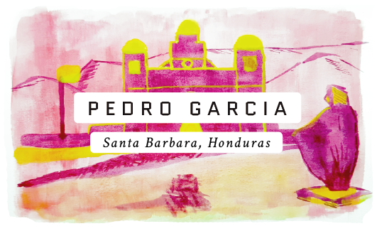 Pedro Garcia Honduran Single Origin Coffee