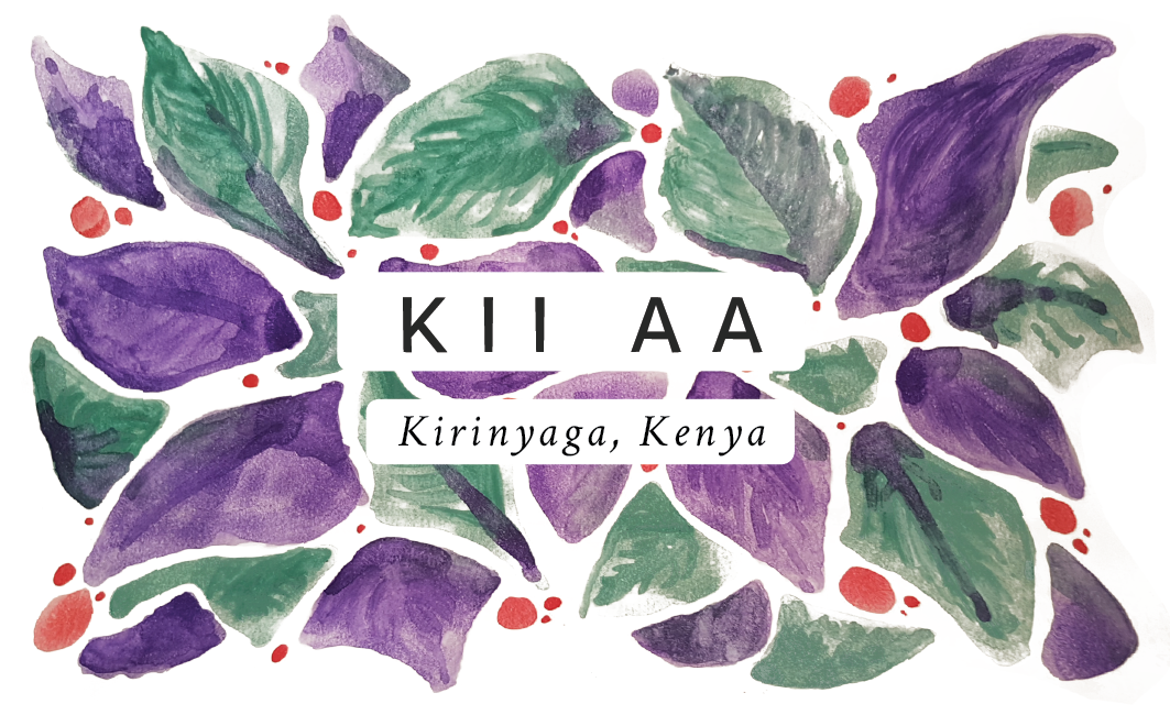Kii AA Kenyan Single Origin Coffee