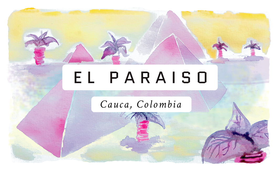 El Paraiso Colombian Single Origin Coffee