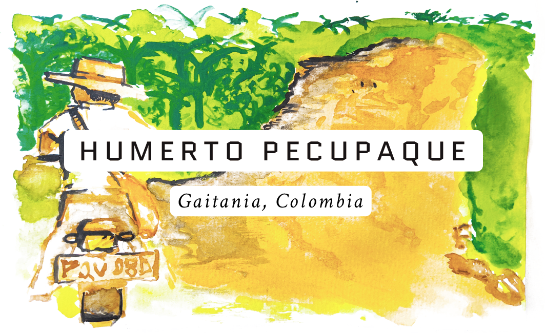 Humberto Pecupaque Colombian Single Origin Coffee