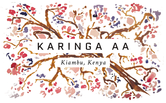 Karinga AA Kenyan Single Origin Coffee